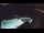 Webcam in Bajamar (Tenerife), 9.3 mi away