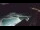 Webcam in Bajamar (Tenerife), 0 mi away
