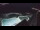 Webcam in Bajamar (Tenerife), 185.4 mi away