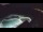 Webcam in Bajamar (Teneriffa), 459.4 km entfernt