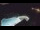 Webcam in Bajamar (Teneriffa), 187.7 km entfernt