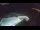 Webcam in Bajamar (Tenerife), 181.4 mi away