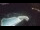 Webcam in Bajamar (Tenerife), 19.8 km
