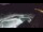 Webcam in Bajamar (Tenerife), 4.8 mi away