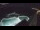 Webcam in Bajamar (Teneriffa), 14.1 km entfernt