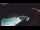 Webcam in Bajamar (Tenerife), 461.5 km