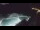 Webcam in Bajamar (Teneriffa), 7.8 km entfernt