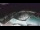 Webcam in Bajamar (Tenerife), 5.4 mi away