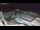 Webcam in Bajamar (Tenerife), 4.8 mi away