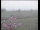 Webcam in Wyk auf Föhr, 7.3 km entfernt