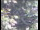 Webcam in Wyk auf Föhr, 25.6 km