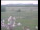 Webcam in Wyk auf Föhr, 2.2 km entfernt