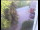 Webcam in Wyk auf Föhr, 0.4 mi away