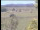 Webcam in Wyk auf Föhr, 8.8 km