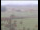 Webcam in Wyk auf Föhr, 8.8 km entfernt