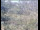 Webcam in Wyk auf Föhr, 0.6 mi away