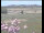 Webcam in Wyk auf Föhr, 10.3 km