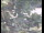 Webcam in Wyk auf Föhr, 1.2 km