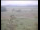 Webcam in Wyk auf Föhr, 1.5 km