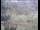 Webcam in Wyk auf Föhr, 32.6 km entfernt