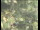 Webcam in Wyk auf Föhr, 1.7 km