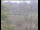 Webcam in Wyk auf Föhr, 7.2 km