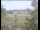 Webcam in Wyk auf Föhr, 6.9 km entfernt