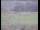 Webcam in Wyk auf Föhr, 25.6 km