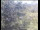 Webcam in Wyk auf Föhr, 4.9 mi away