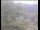 Webcam in Wyk auf Föhr, 2.8 mi away