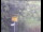 Webcam in Wyk auf Föhr, 11.6 mi away