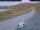 Webcam in Skarsvåg, 37.2 mi away