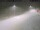 Webcam in Skarsvåg, 5.4 mi away