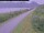 Webcam in Senjahopen, 132.9 km entfernt