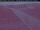 Webcam in Dyranut, 216.6 km