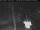 Webcam in Dyranut, 86.1 km