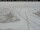 Webcam in Dyranut, 131.6 km