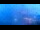 Webcam in Kitzbuhel, 1.9 mi away