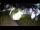Webcam in Kapela, 55.1 mi away