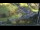 Webcam in Viehhofen, 4.9 km