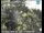 Webcam in Redding, Californie, 71.2 km