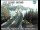 Webcam in Redding, California, 29.1 mi away