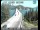 Webcam in Redding, California, 24.9 mi away