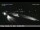 Webcam in San Clemente, Californien, 41.6 km
