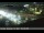 Webcam in Santa Ana, California, 10.1 mi away