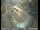 Webcam in South Lake Tahoe, California, 48.3 km