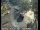 Webcam in South Lake Tahoe, California, 12.6 mi away