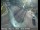 Webcam in South Lake Tahoe, California, 20.1 mi away