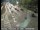Webcam in South Lake Tahoe, California, 48.3 km