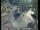 Webcam in South Lake Tahoe, Californie, 32.7 km